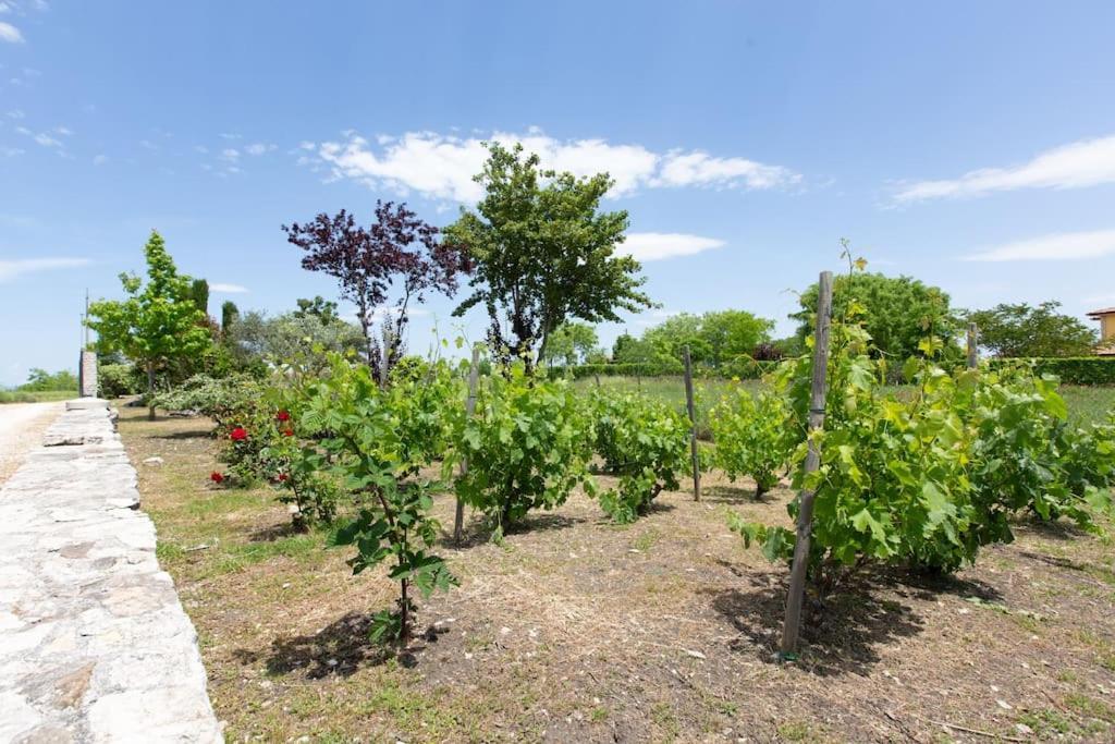 Villa Ruffo Campobasso Buitenkant foto